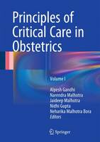 Principles of Critical Care in Obstetrics: Volume I (ePub eBook)