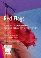 E-Book - Red Flags: E-Book - Red Flags (PDF eBook)