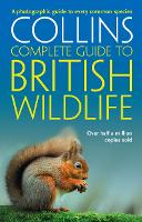 British Wildlife: A Photographic Guide to Every Common Species