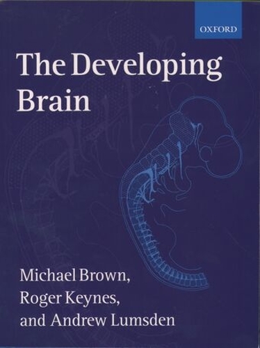 Developing Brain, The