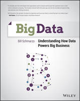Big Data (PDF eBook)