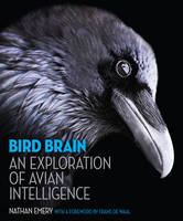 Bird Brain (PDF eBook)