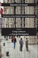 Business as Usual: The Roots of the Global Financial Meltdown (ePub eBook)