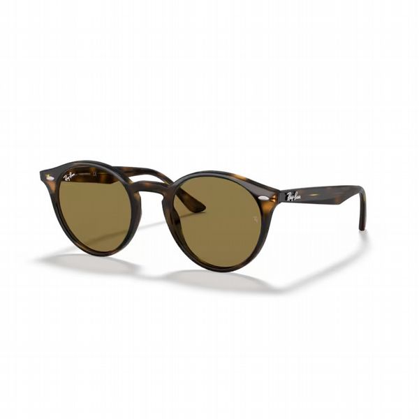Rayban Light Havana With Brown Lens