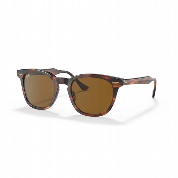 Rayban Hawkeye Striped Havana With Brown Lens