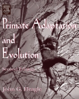 Primate Adaptation and Evolution (PDF eBook)